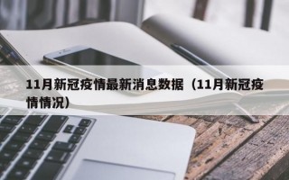 11月新冠疫情最新消息数据（11月新冠疫情情况）