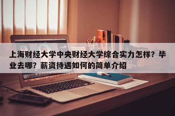 上海财经大学中央财经大学综合实力怎样？毕业去哪？薪资待遇如何的简单介绍