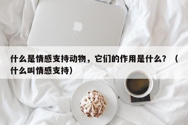 什么是情感支持动物，它们的作用是什么？（什么叫情感支持）