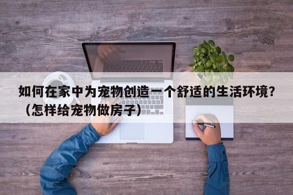 如何在家中为宠物创造一个舒适的生活环境？（怎样给宠物做房子）